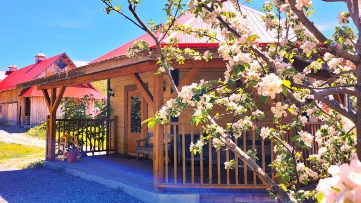 La Vieille Ferme, Ecogite Saint-Fulgence エクステリア 写真