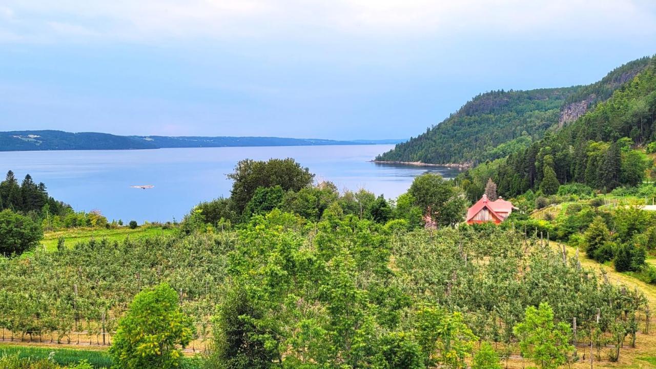 La Vieille Ferme, Ecogite Saint-Fulgence エクステリア 写真