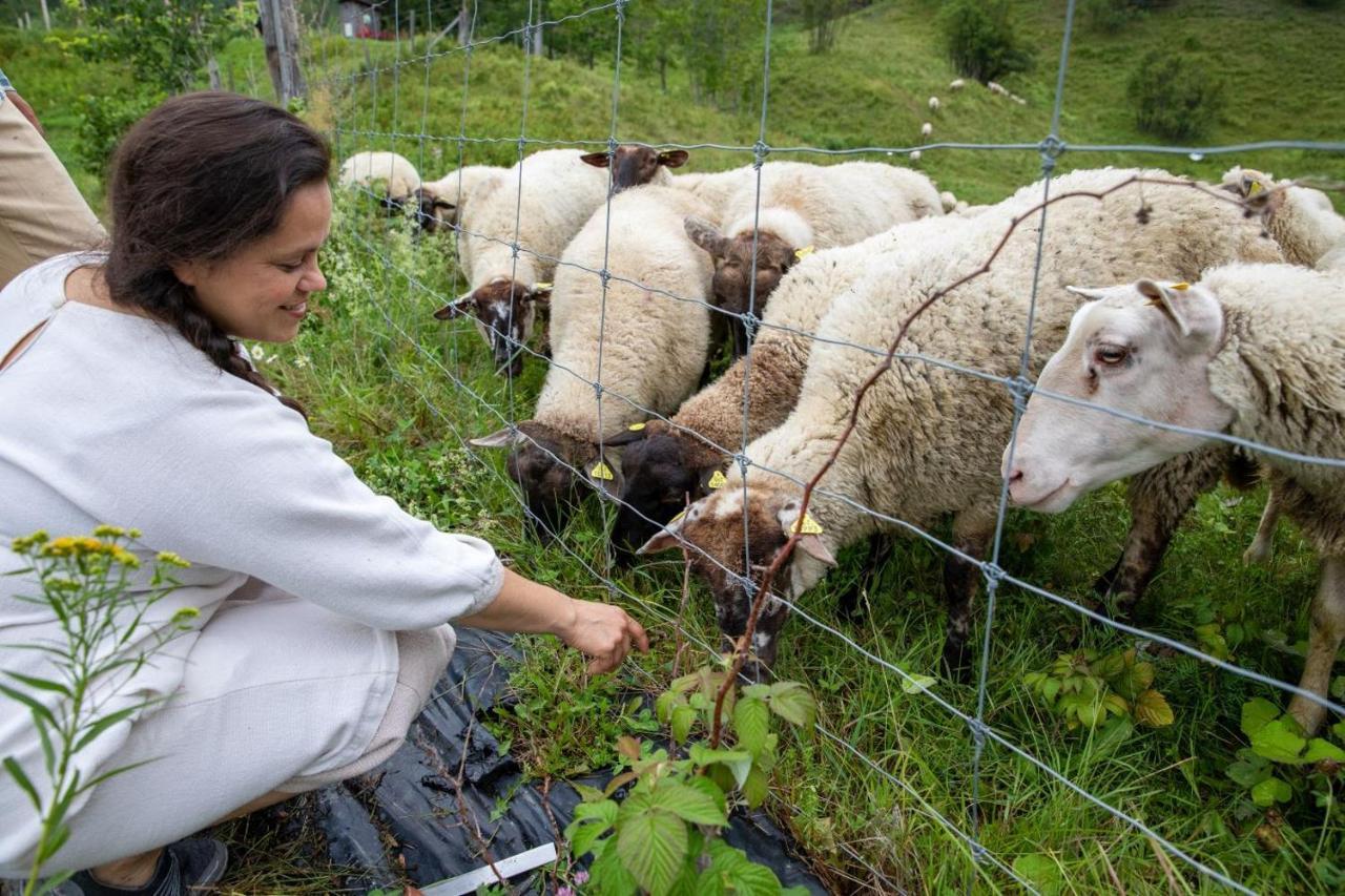 La Vieille Ferme, Ecogite Saint-Fulgence エクステリア 写真