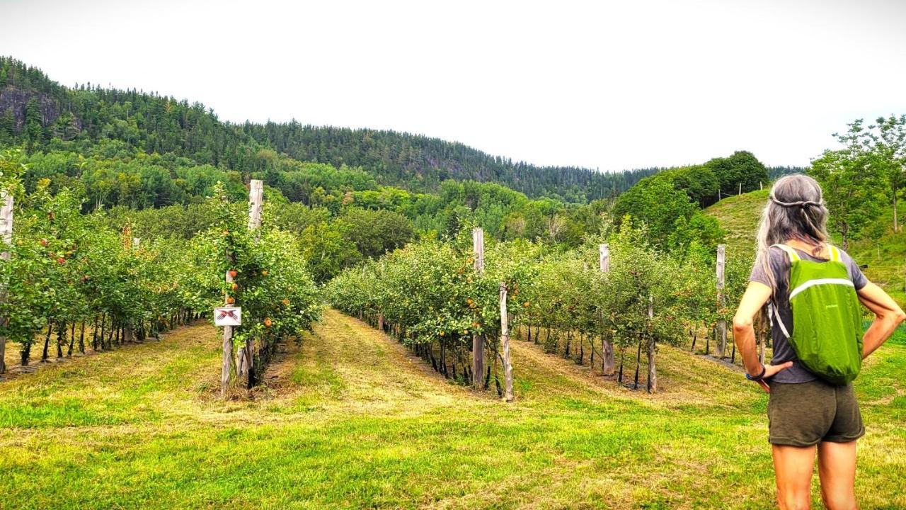 La Vieille Ferme, Ecogite Saint-Fulgence エクステリア 写真
