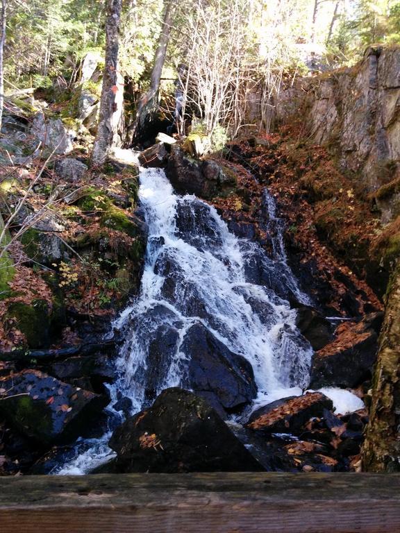 La Vieille Ferme, Ecogite Saint-Fulgence エクステリア 写真