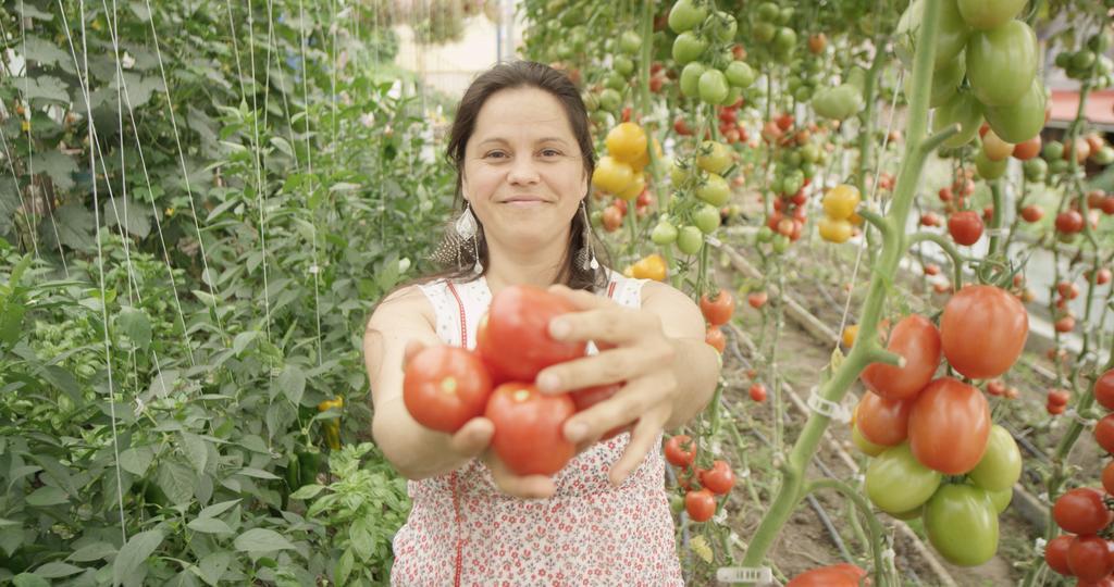 La Vieille Ferme, Ecogite Saint-Fulgence エクステリア 写真