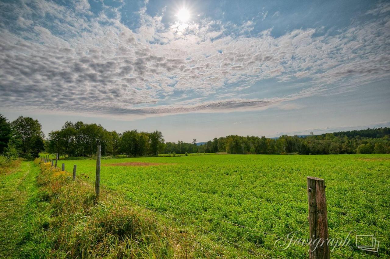 La Vieille Ferme, Ecogite Saint-Fulgence エクステリア 写真