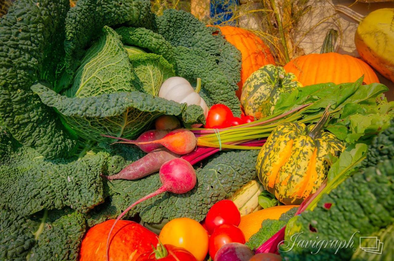 La Vieille Ferme, Ecogite Saint-Fulgence エクステリア 写真